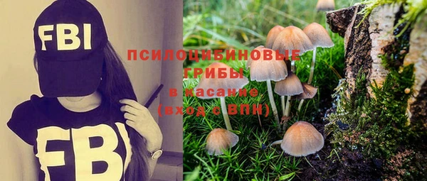 мдпв Иннополис