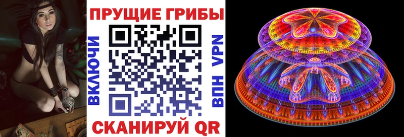 Псилоцибиновые грибы Magic Shrooms  ОМГ ОМГ   Севск  даркнет сайт 