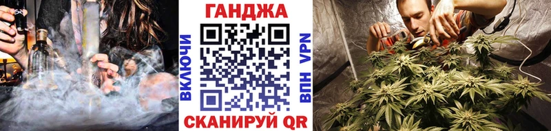 Каннабис сатива Севск